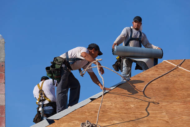 Roof Waterproofing Services in Loganville, GA