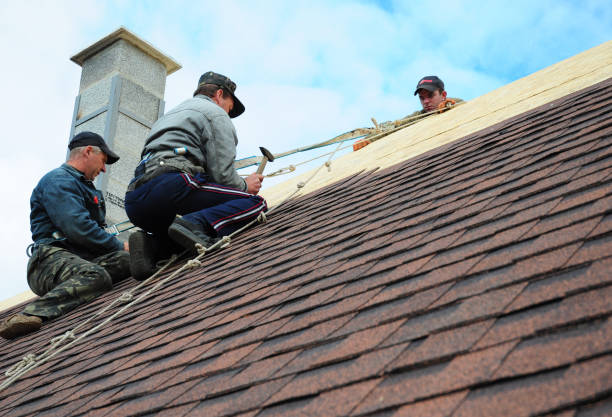 Best Shingle Roofing Installation  in Lonville, GA